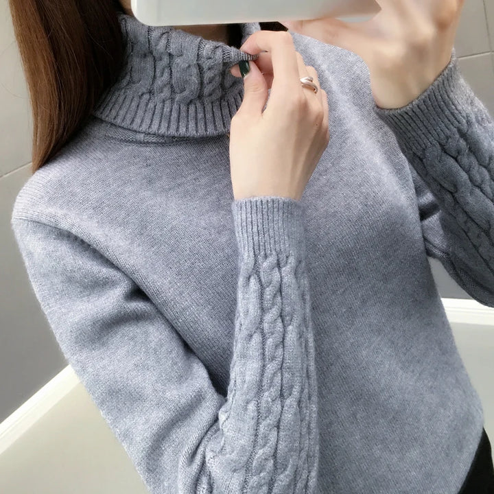 Autumn winter turtleneck sweater