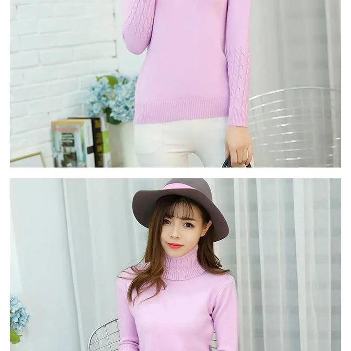 Autumn winter turtleneck sweater