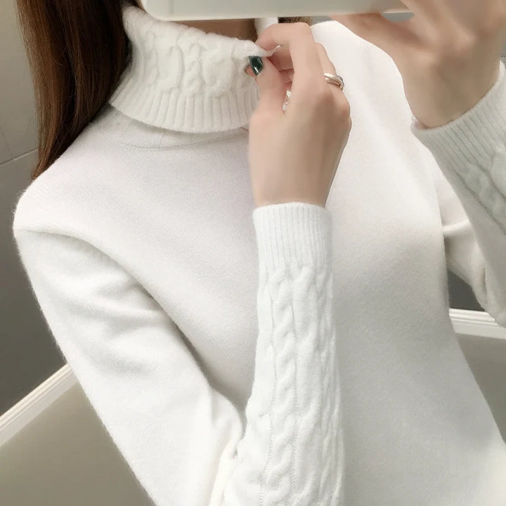 Autumn winter turtleneck sweater