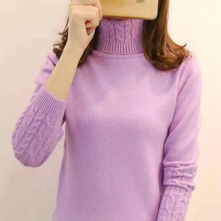 Autumn winter turtleneck sweater