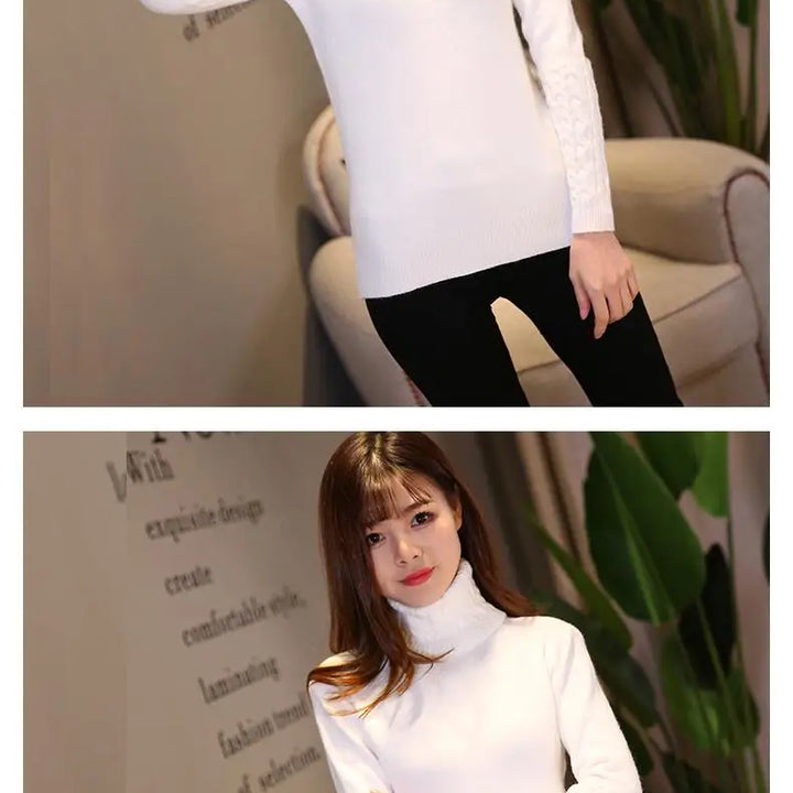 Autumn winter turtleneck sweater
