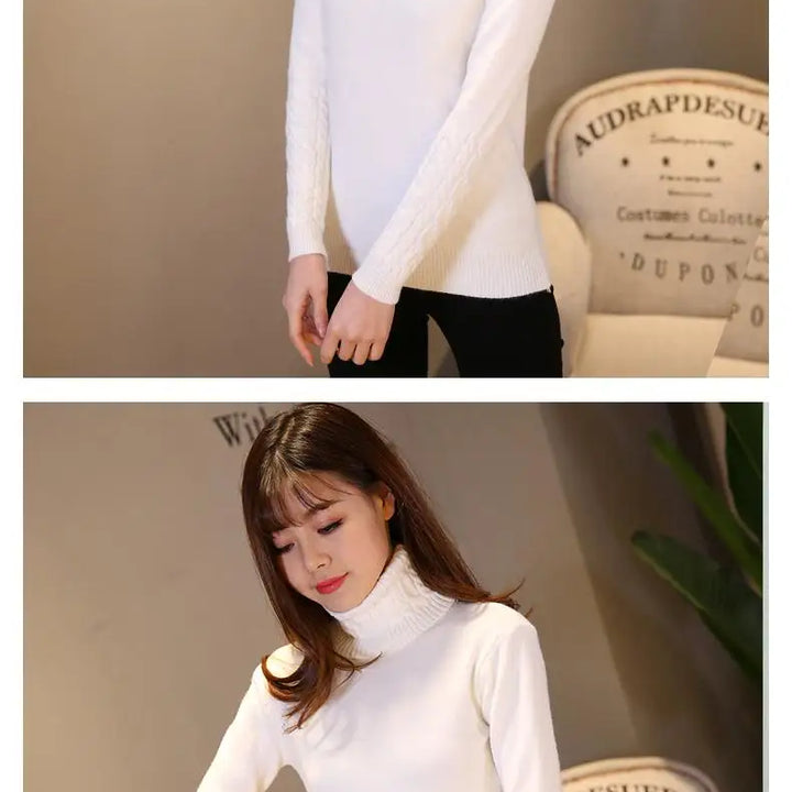 Autumn winter turtleneck sweater