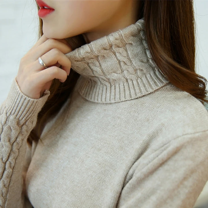 Autumn winter turtleneck sweater