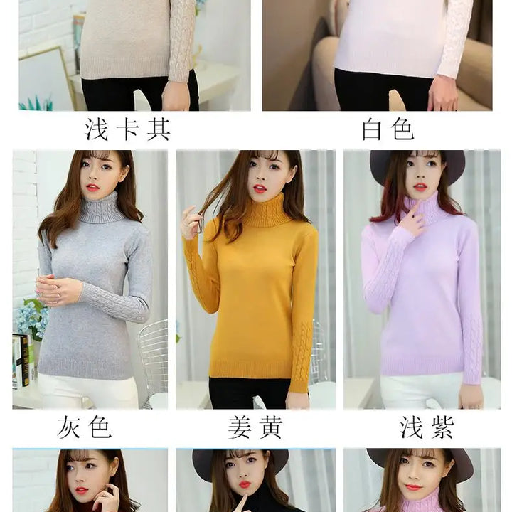 Autumn winter turtleneck sweater