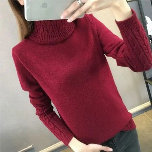 Autumn winter turtleneck sweater