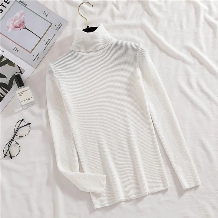 Soft knit turtleneck sweater, autumn and winter