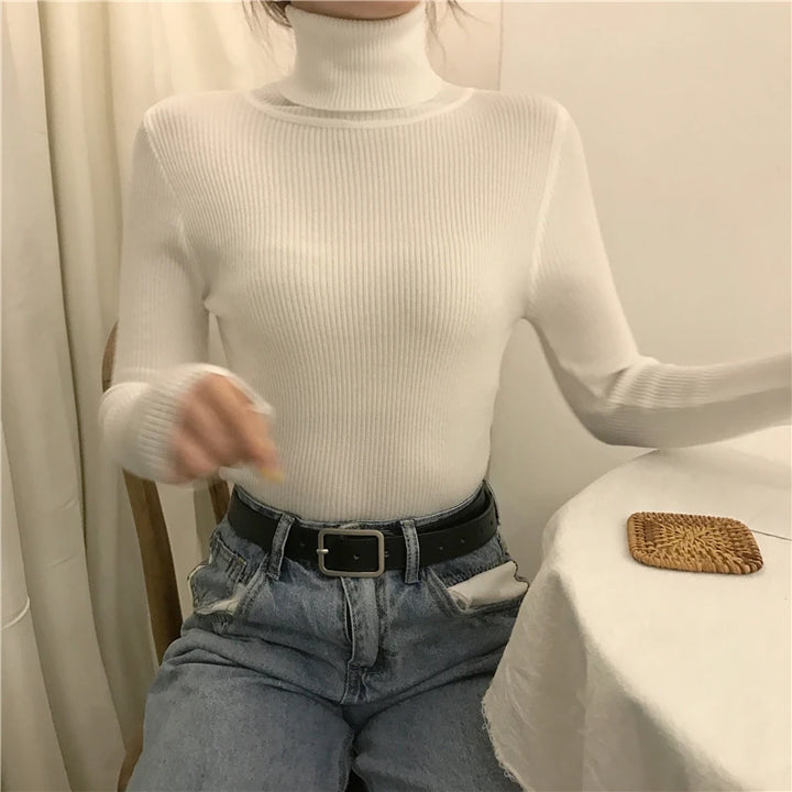 Soft knit turtleneck sweater, autumn and winter
