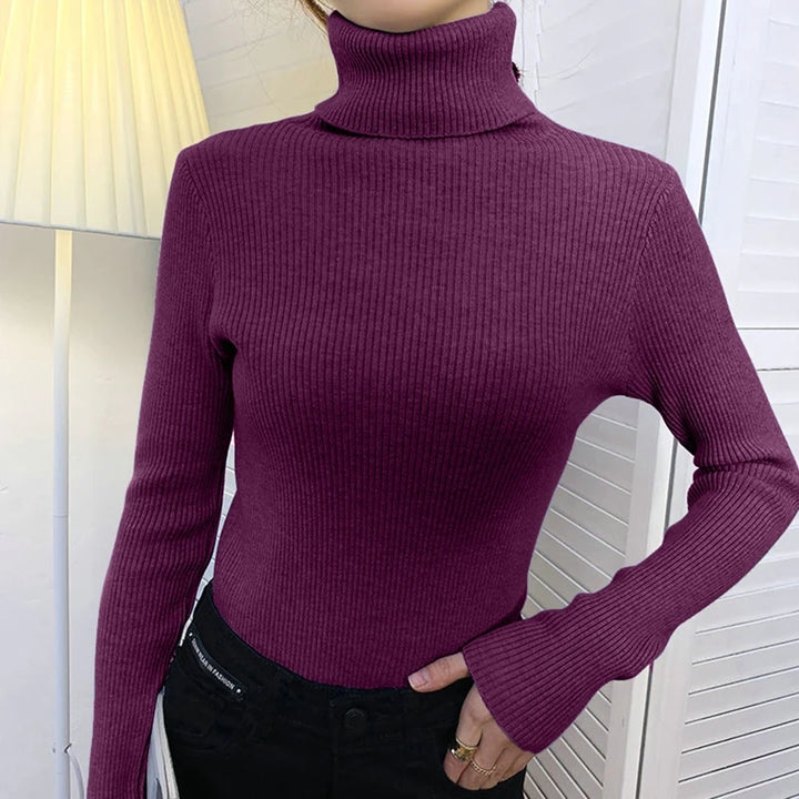 Soft knit turtleneck sweater, autumn and winter