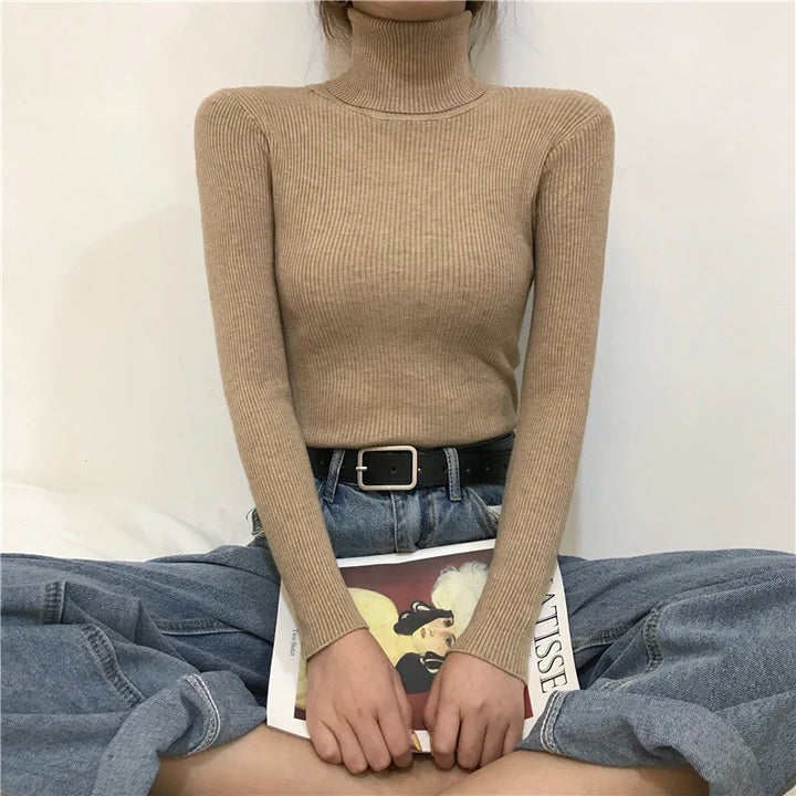 Soft knit turtleneck sweater, autumn and winter